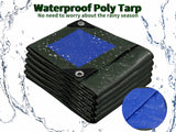 TARPAL 100x100 Feet Green Tarp Waterproof Multipurpose Protective Cover All Purpose Outdoor Poly Tarps Cover for Swimming Pool, Roof Waterproofing,Boat, car, Camping, firewood,Outdoor Furniture,etc