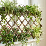 2 PCS Expandable Garden Trellis, 38" x 89" Trellis for Climbing Plants Outdoor, Wooden Lattice Fence Wall Panel Lattice Panels for Outside, for Climbing Plants Vine Ivy Rose Cucumbers Clematis（2PC）