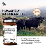 First Light Farms Freeze-Dried Wagyu Beef Organ Supplement Grass-Fed | 180 Capsules | Whole Food Nutrition with Liver, Heart, Kidney & Spleen | Beef Organ Complex, Certified Humane