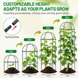 Trellis for Climbing Plants Outdoor, 60" Tall, 21" Dia, Heavy Duty Metal Garden Trellis Tower Potted Cages for Flowers Fruits Vegetable Cucumber Tomato Rose Clematis Pea Bean Raised Bed Trellises