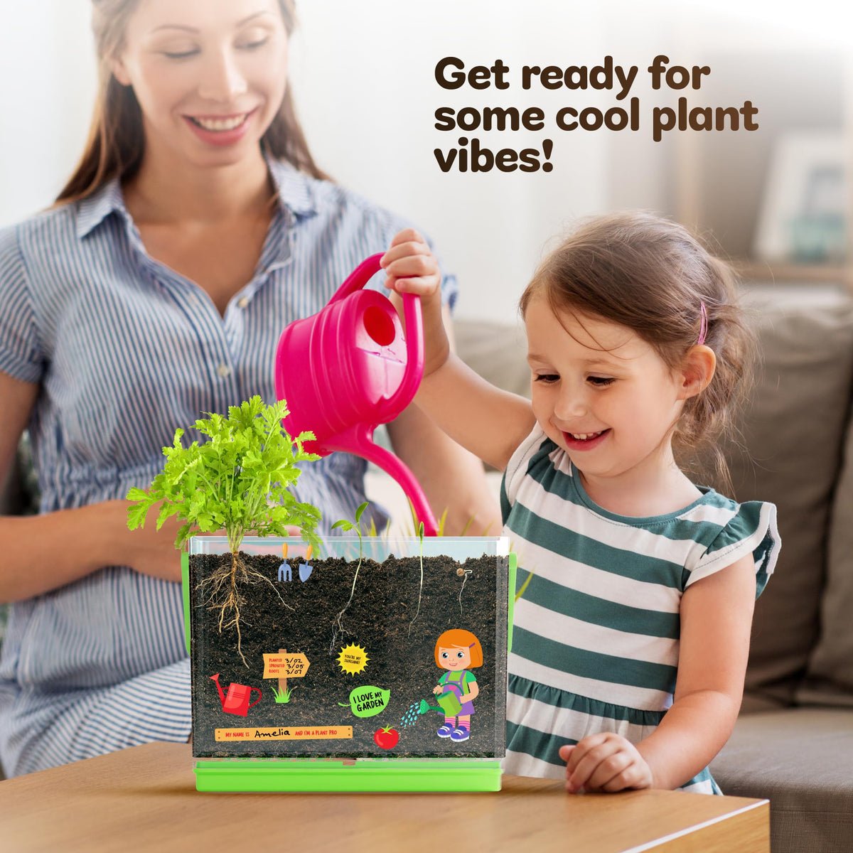 Root Viewer Kit for Kids - Grow Your Own Plant for Boys & Girls Gifts