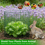 6 Pack 12x16 Inch Plant Protector Cages, Metal Garden Cages for Animals