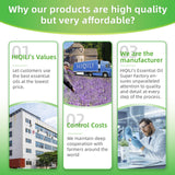 HIQILI 16 Fl Oz Citronella Oil for Homemade Sprays, Add to Diffuser, 100% Pure and Natural Undiluted