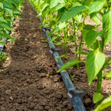 Pangda 120 Pack Irrigation Stakes 1/2 Inch Tubing, Drip Anchor for Garden