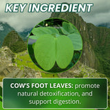 Hanan Pata de Vaca 100 Capsules – Supports Detox & Digestive Health 100% Pure Cow’s Foot Leaves (Bauhinia forficata) Vegan & Non-GMO Natural Herbal Supplement from Peru