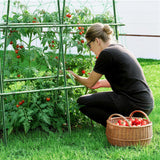 HIRALIY Cucumber Trellis for Climbing Plants, 5.25ft Tall, Green