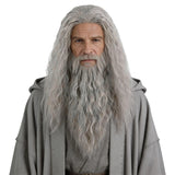 Topcosplay Men Wigs and Beard Set Long Gray Cosplay Halloween Costume Party Wizard Wig