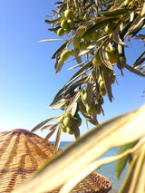 Extra Virgin Olive Oil Cold Pressed - London Award-Winning - 33.81 Fluid Ounce,Antique Ephesus, Mediterranean Region of Ayvalik Turkey (Extra Virgin)