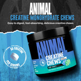 Animal Creatine Chews – Enhanced Creatine Monohydrate Chewable Tablets with AstraGin & Sea Salt, Max Absorption Pre Post-Workout, Lean Muscle Growth, Strength & Recovery, New Flavor Candy Crush’d