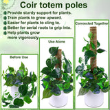 Fabulas Moss Pole 58.7 Inch - Monstera Plant Support 5 Pack, 17.5" and 12" Plant Stakes for Indoor Plants Coco Coir Moss Pole Sticks for Climbing Potted Live Plants, Pothos, Philodendron
