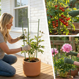 4 Pack Garden Tomato Cage for Pots, 24" Metal Tomatoes Cages Plant Support with Stable Support Rings (24")
