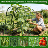 Cucumber Trellis for Raised Bed, Garden Arch Trellis for Climbing Plants Outdoor, Metal Garden Trellis for Spring Vegetables, Cucumber Trellis for Tomato, Bean, Pea, Grape, Plant