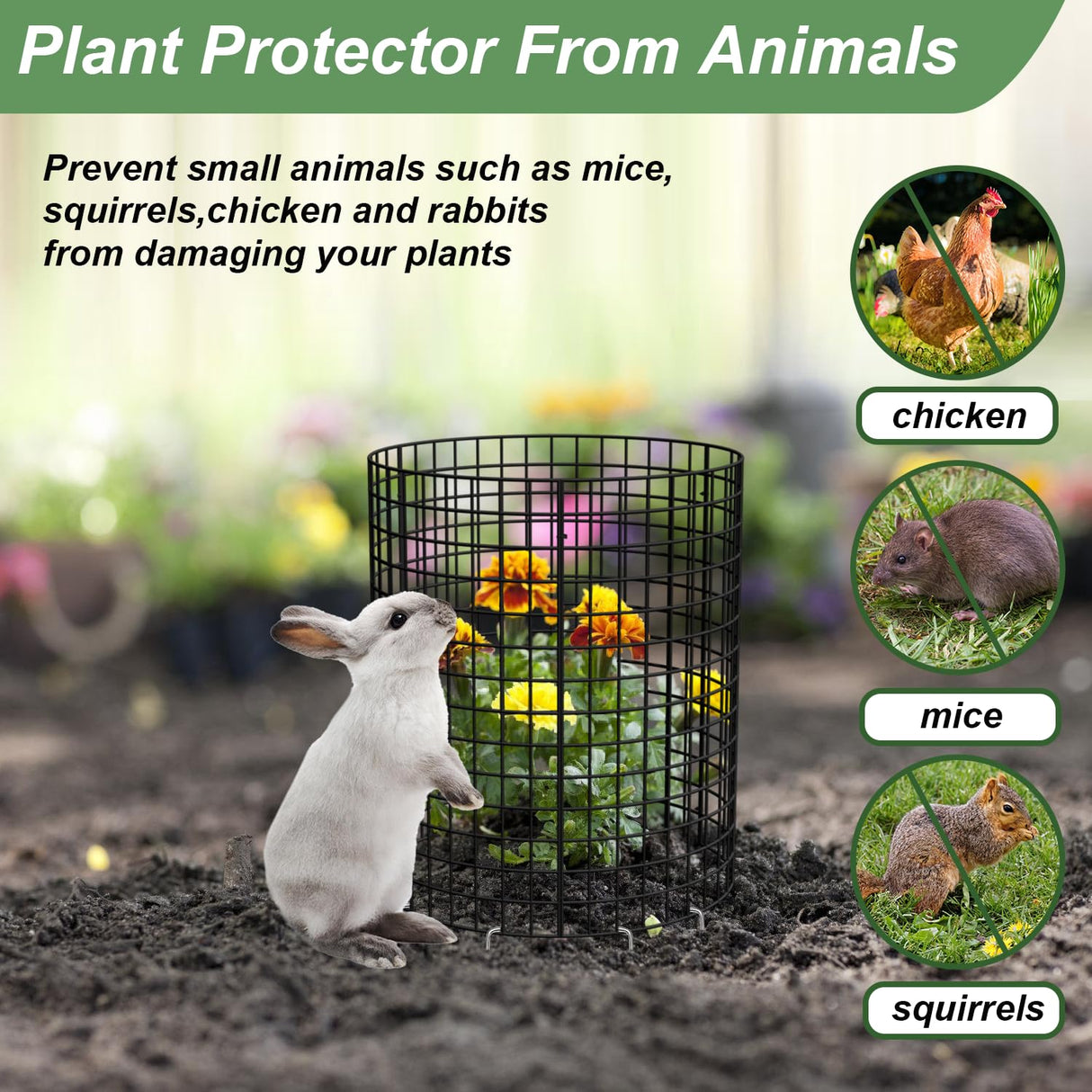 6 Pack Plant Protector from Animals, 13.5" Dia x 14" H Wire Plant Protectors, 18pcs Pre-Bent Metal Mesh to Keep Animals Out with Zip Ties & Stakes (6 Packs)