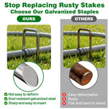 AMAGABELI GARDEN & HOME 100 Pack Galvanized Landscape Staples 12 Inch 11 Gauge Garden Staples Garden Stakes Plant Cover Stakes U-Shaped Landscape Stakes Landscape Pins for Weed Barrier Fabric