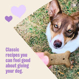 Wellness Old Mother Hubbard Classic P-Nuttier Dog Biscuits, Natural Training Treats, Peanut Butter Flavor, Large Size, 6 lb Box