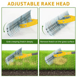 Thatch Rake, 15-Inch Steel Lawn Dethatcher with Handle, Heavy Duty Grass Cleaning Tool for Dead Grass and Soil Loosening, Versatile Yard and Garden Grooming (Black+Metallic Silver)