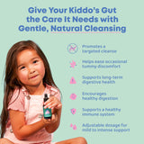 JoySpring Kids' Liquid Cleanse – Natural Liquid Detox, Alcohol-Free Supplement for Digestive Health (1 fl oz) 30 Servings