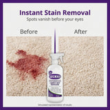 FOLEX Professional Carpet Stain Remover Spray – Stain Remover for Old Stains – Best Remover for Pets – Rug Stain Remover & Upholstery Cleaner – Cleaner Solution for Couches & Car Interiors – 34 oz
