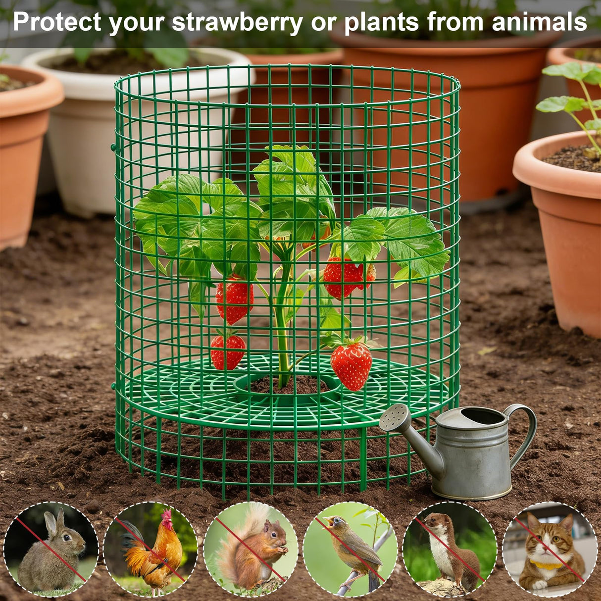 Nlicrst 5 Sets Strawberry Plant Support with Wire Plant Protectors, 12.9"x 11.8" Wire Plant Cages and Strawberry Growing Racks, Animal Protection for Strawberry Tomato Garden Vegetables Plants