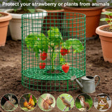 Nlicrst 5 Sets Strawberry Plant Support with Wire Plant Protectors, 12.9"x 11.8" Wire Plant Cages and Strawberry Growing Racks, Animal Protection for Strawberry Tomato Garden Vegetables Plants