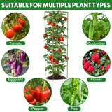 3 Pack Tomato Cage, 14.5" W x 53" H Square Tomato Trellis with 50 Pcs Clips