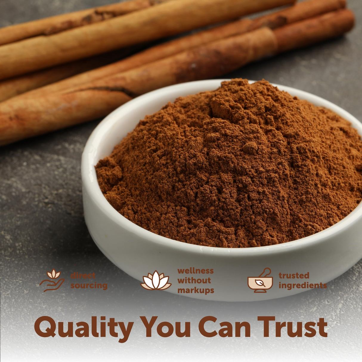 Micro Ingredients Ceylon Cinnamon, 300 Softgels | Cinnamon Supplements with MCT Oil | Non-GMO, Gluten Free