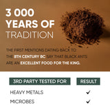 Jungle Powders Black Ant Extract Powder 30:1 Concentration, 94 Servings - 5 Ounces of Pure Polyrhachis Black Ant Supplement, Filler Free Changbai Mountain Ant Traditional Mens Health Support for Drive