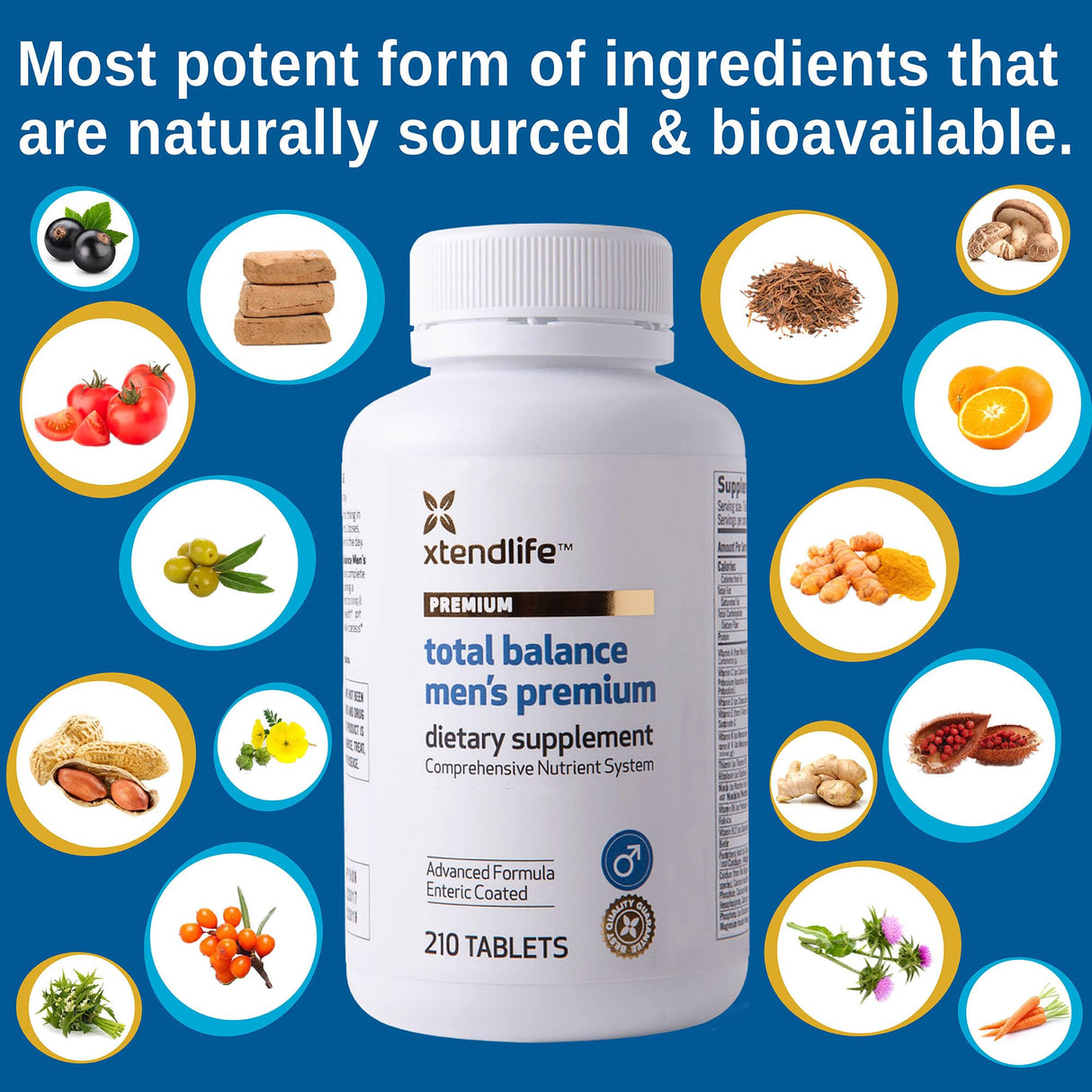 Xtendlife Total Balance Men's Premium Extra Strength Daily Multivitamin & Mineral - 90+ Nutrients for Complete Immune, Heart, Digestive, and Cellular Health - 30 Day Supply