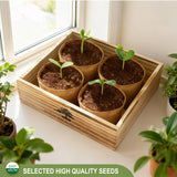 LUOJIBIE Bonsai Tree Kit - Unique Gift for Women, Men, Boys & Girls