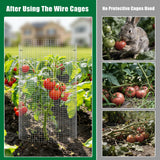 30Pcs Garden Plant Protector Cage 12''x12'', 10 Set Metal Wire Protectors