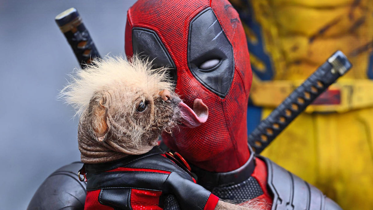 Deadpool & Wolverine - 4K + Blu-ray + Digital [4K UHD]