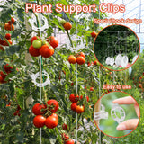 Hidbot Tomato Support Hooks with String 20 Pcs,100 Pcs Plant Support Clips for Climbing Plants,Tomato Trellis Roller Hooks with 49.2FT String,Reusable Grape Vine Clips to Prevent Tomatoes