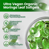 VivoNu Moringa Capsules | Pure Moringa Leaf Extracts, Energy, Skin & Gut Health Superfood, Rich in Antioxidants, Essential Vitamins & Amino Acids, Natural Green Superfood Supplement