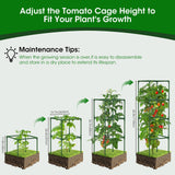 MQHUAYU 4 Pack Tomato Cage for Garden Support, 43 inch Tall Adjustable Plant Support Stakes, Tomato Trellis Extra Bold for Climbing Vegetables Plants Flowers