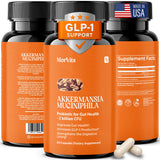 Akkermansia Probiotic | GLP-1 Supplement for Gut Health, Akkermansia Muciniphila, 2 Billion CFU Live Strain for Men & Women (60 Capsules, 1-Pack) - Inulin Prebiotic Fiber, Increases GLP1 Production