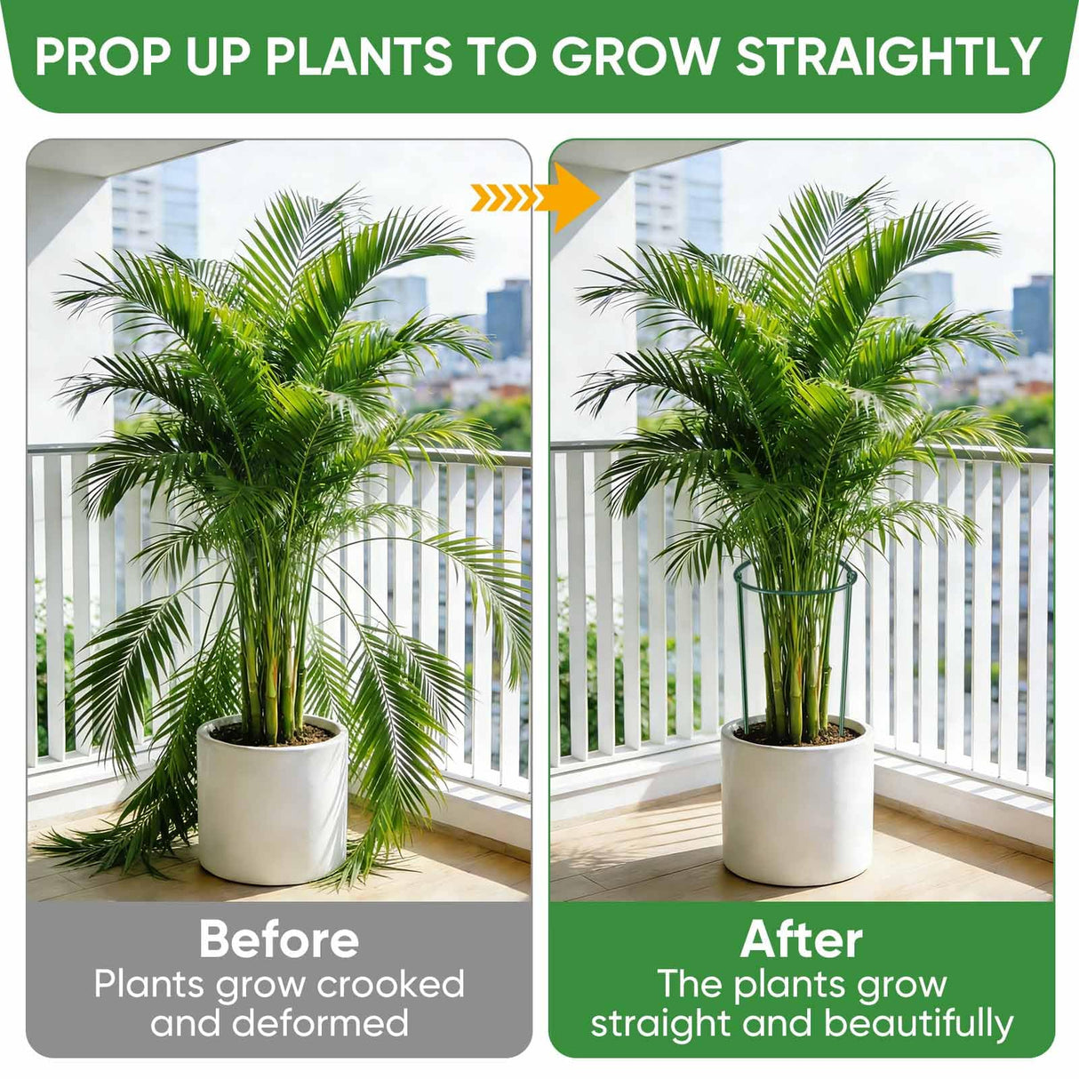 HiGift 10 Pack 24" H x 10" W Tall Plant Support Stakes, Half Round Metal Peony Cages and Supports, Monstera Plant Support Snake Plant Stake Flower Support Ring for Tomato, Hydrangea Outdoor Indoor