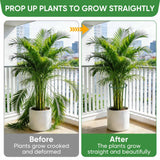HiGift 10 Pack 24" H x 10" W Tall Plant Support Stakes, Half Round Metal Peony Cages and Supports, Monstera Plant Support Snake Plant Stake Flower Support Ring for Tomato, Hydrangea Outdoor Indoor