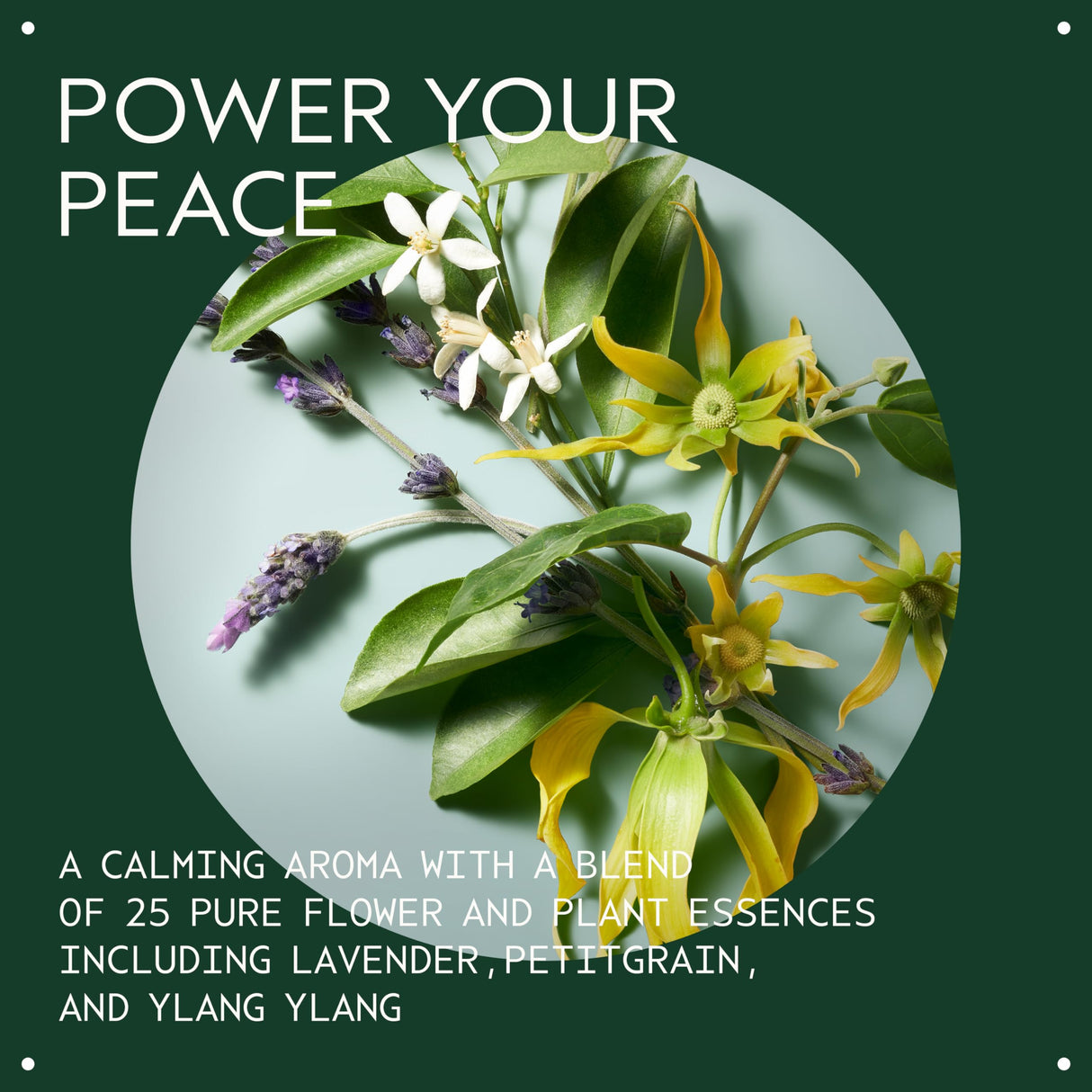 Aveda Shampure Nurturing Conditioner for Fine to Medium Hair | Lightweight Conditioner | 98% Naturally Derived* | Calming Aroma of Lavender & Ylang Ylang, 33.8 Fl Oz