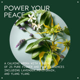 Aveda Shampure Nurturing Conditioner for Fine to Medium Hair | Lightweight Conditioner | 98% Naturally Derived* | Calming Aroma of Lavender & Ylang Ylang, 33.8 Fl Oz