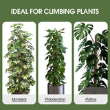 2 Pack Moss Pole 63 Inch Monstera Plant Sticks Support Tall Long Stakes