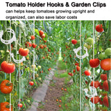 Hidbot Tomato Support Hooks with String 20 Pcs,100 Pcs Plant Support Clips for Climbing Plants,Tomato Trellis Roller Hooks with 49.2FT String,Reusable Grape Vine Clips to Prevent Tomatoes