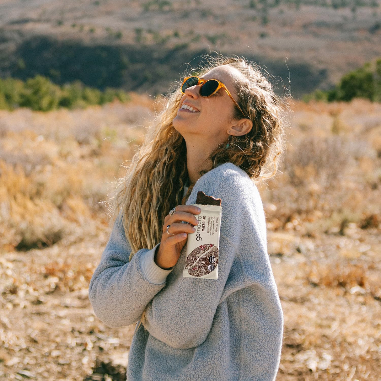 GoMacro MacroBar Organic Vegan Protein Bars - Mocha Chocolate Chip (2.3 Ounce Bars, 12 Count)