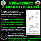Vegan Brain & Body Boost: The Cherry On Top of A Plant-Based Lifestyle | Working Intelligence | Anti-Aging | Physical Fitness | Vegan Amino Acids - Creatine, Taurine & Beta Alanine | 67 Servings/500g