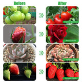 LED Plant Grow Light, Suitable for Indoor Plants, Full Spectrum Clip on Plant Growing Light with Red, Blue, Yellow Beads, 10 Brightness Levels, 3 Light Modes, 3/9/12H Auto Timer, 3 Head