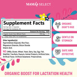 Mama's Select Organic Goat’s Rue Capsules for Breast Milk Production – Non-GMO, Vegan, Gluten- Free Lactation Support Supplement – Safe & Effective for Nursing Moms – Third-Party Tested