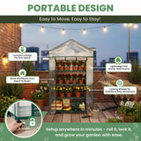 4 Tier Mini Greenhouse - Portable Greenhouse with Locking Wheels and PVC Cover for Indoor or Outdoor Green House by Pure Garden