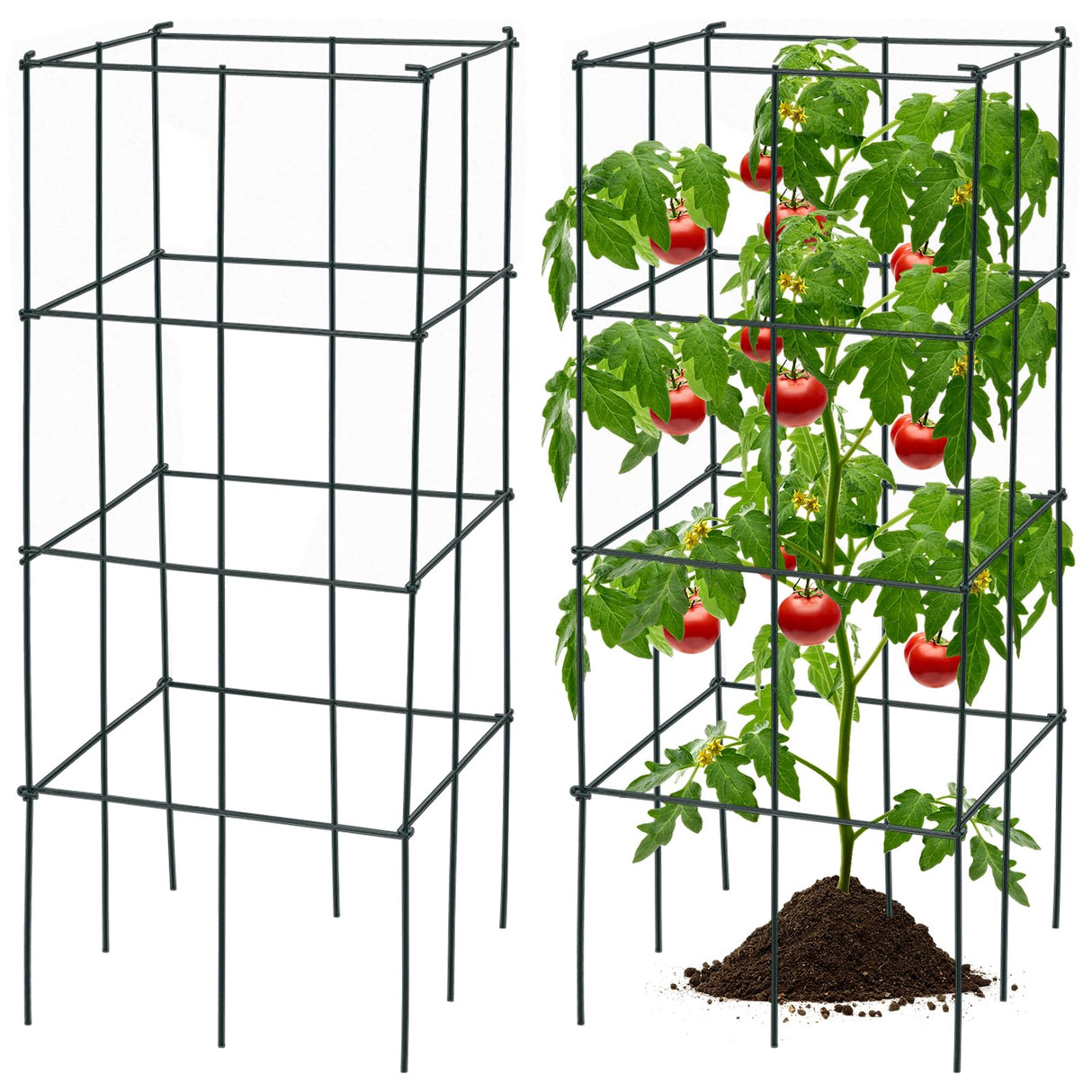 S AFSTAR 4 Pack Folding Tomato Cages, 39 Inches Tall Square Plant Support Cage for Garden Climbing Plants Flowers Fruits, Heavy Duty Tomato Vegetable Trellis