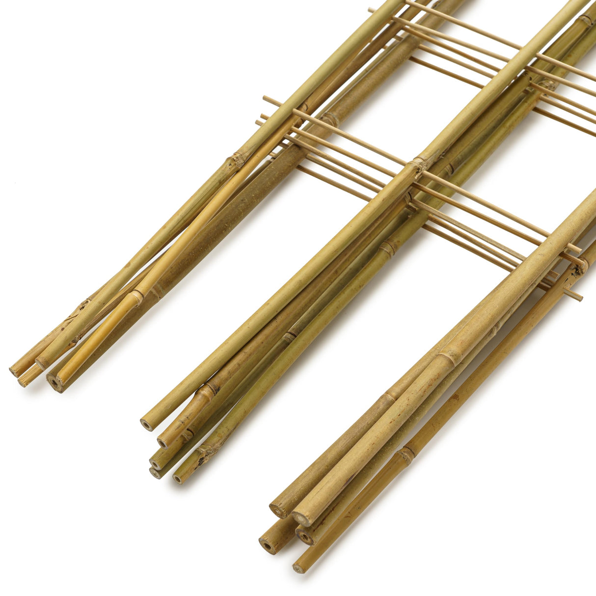 Taoskai 5 Pack 4 Feet U-Shape Bamboo Trellis, Natural Bamboo Trellis for Climbing Plants, Vegetables, Cucumber, Tomato, Outdoor and Indoor Potted Plants