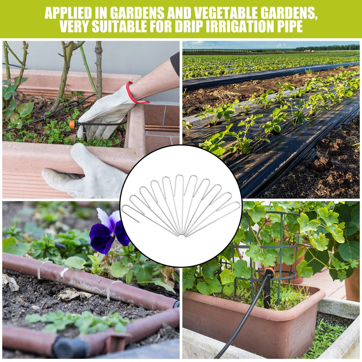 Pelopy 200 Pcs 1/2" Irrigation Drip Tubing Stakes 5 in J-Shaped Landscape Staples Garden Drip Line Stakes Soaker Hose Pins for Lawn Plant Yard Fence Ground Drips Systems, Sliver