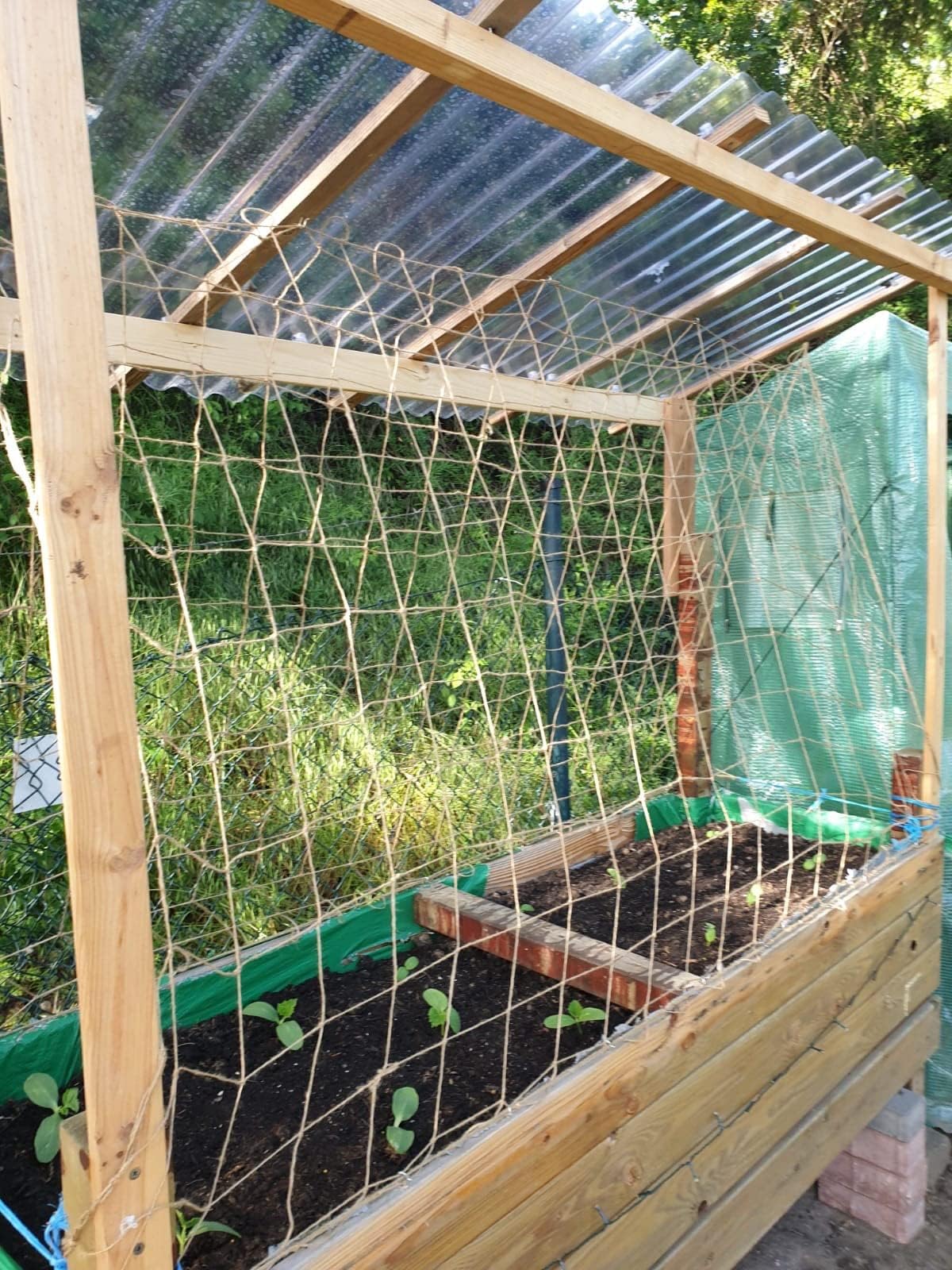 Jute Trellis Netting - Jute Netting for Garden, Heavy Duty Plant Support Netting for Climbing Plants, Cucumber, Vine, Fruits & Vegetables, Climbing Vining Plants (6.6 Ft x 9.8 Ft, 5.9 Inch Squares)